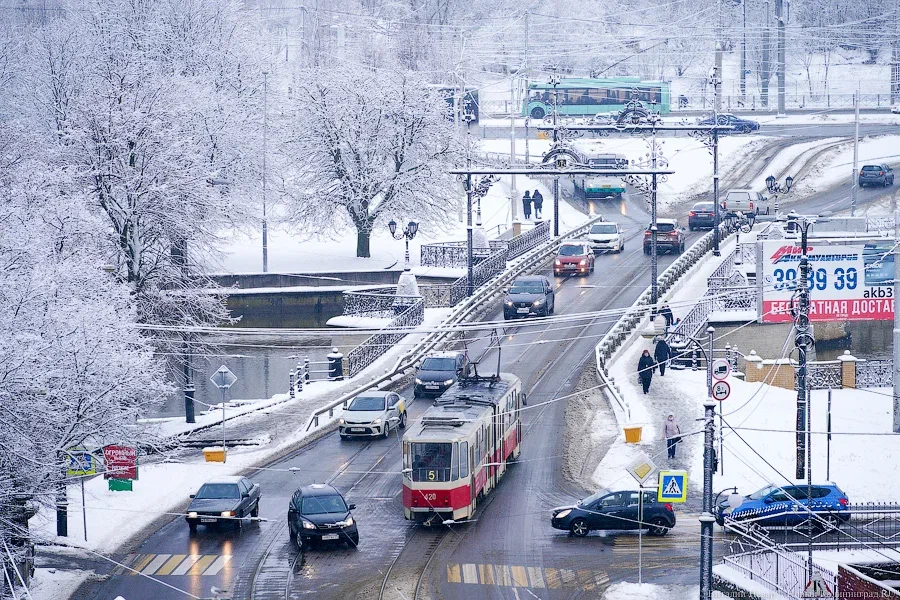 В «Калининград-ГорТрансе» рассказали о росте пассажиропотока в 2025 году