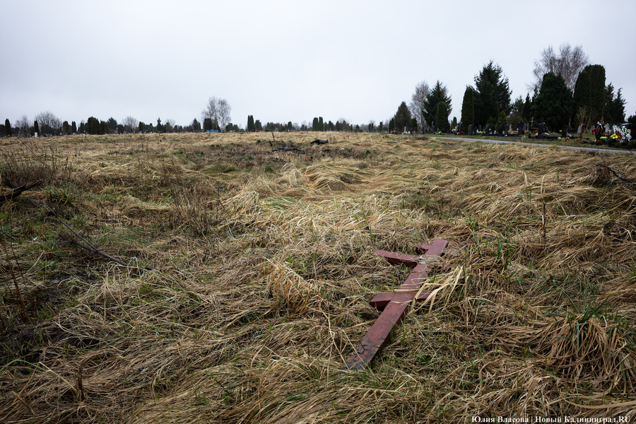 Безымянный сектор и забвение: как в Калининграде хоронят безродных людей