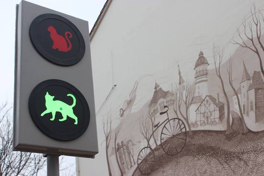 В Зеленоградске поставили новые «кошачьи» светофоры (фото)