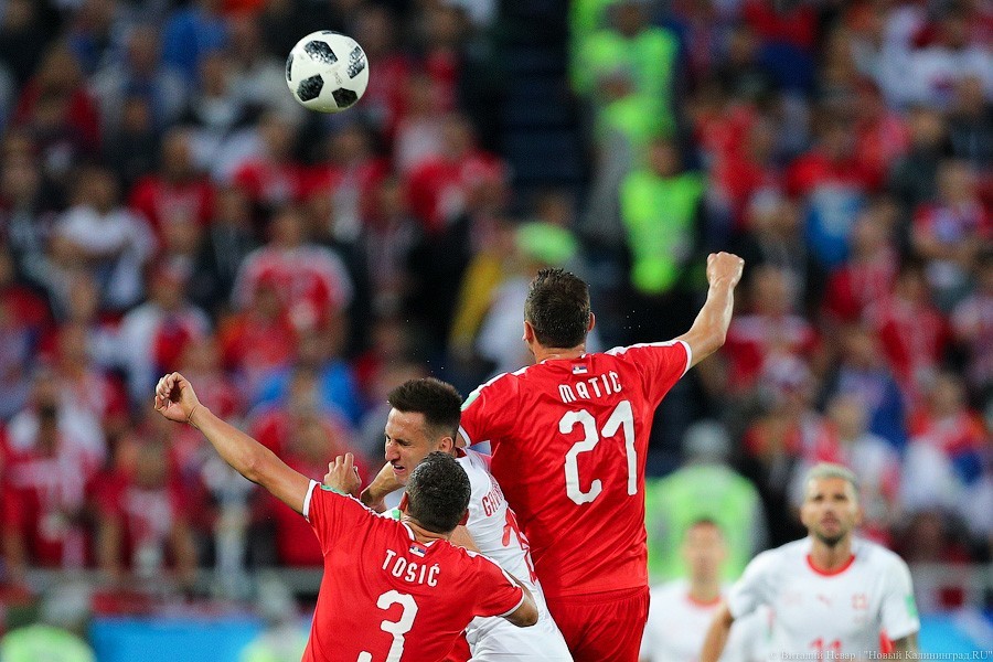 Футболисты Швейцарии отделались штрафами после матча в Калининграде