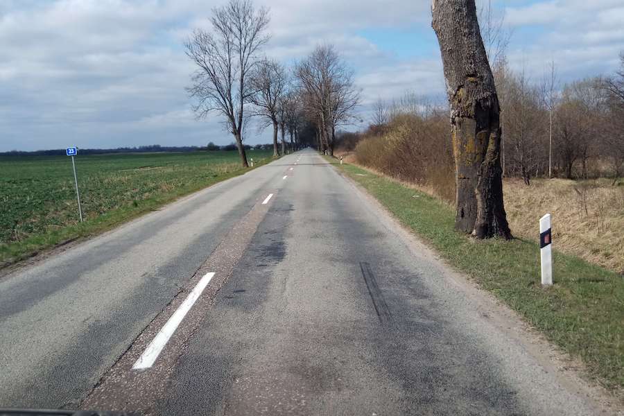 Вдоль полесской трассы собираются спилить 372 дерева, Алиханов был против