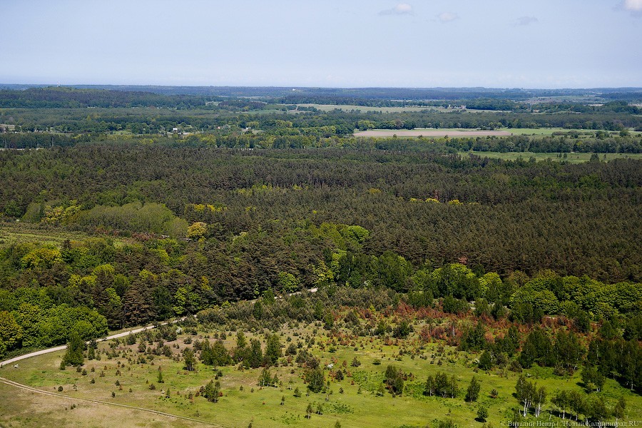 Минэкономразвития не одобрило проект Генплана Нестерова