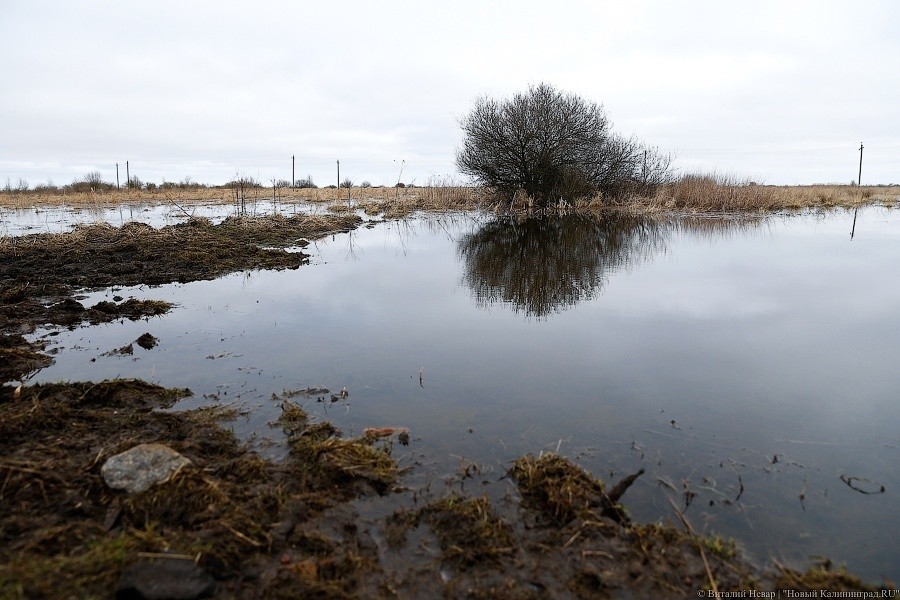 Областные власти назвали сумму ущерба, нанесенного аграриям сильными дождями 