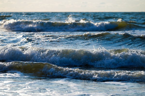 Облвласти пообещали увеличить число рейдов по запрещённым для купания местам