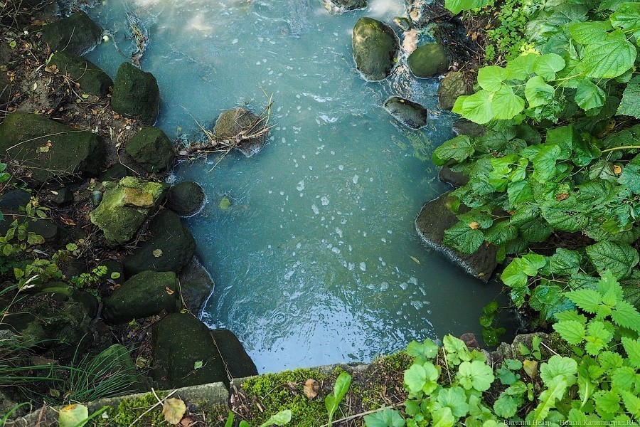 Прокуратура: «Мираторг» регулярно сбрасывал неочищенные стоки в Гагаринский ручей