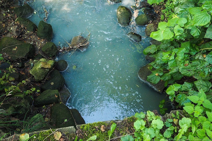 Минприроды объявило и отменило конкурс на проект очистки рек Калининграда