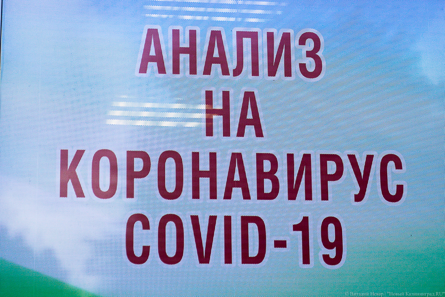«Фонтанка» нашла 2,2 тыс. умерших с COVID, не включенных в официальную статистику