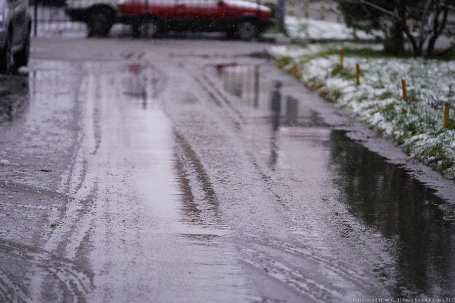 Погода в Калининграде 21 декабря