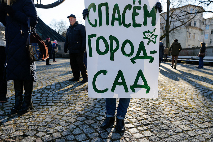 Минюст РФ добавил Greenpeace в перечень нежелательных в России организаций