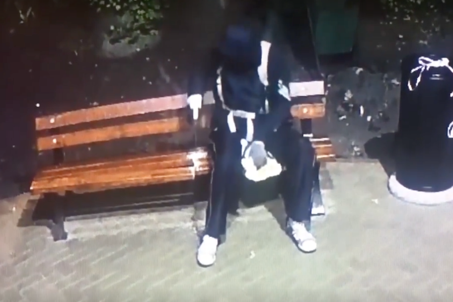 Скамейки на ул. Брамса распилили ножовкой (видео)