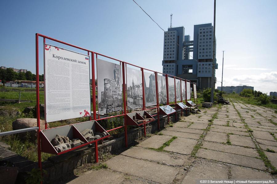 Сказ о мёртвом животном: как обстоят дела с реализацией «Сердца города»