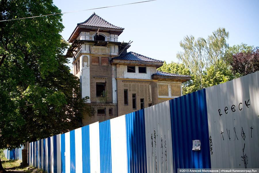 Собственнику «японской» виллы на Чапаева разрешили вырубить 38 деревьев