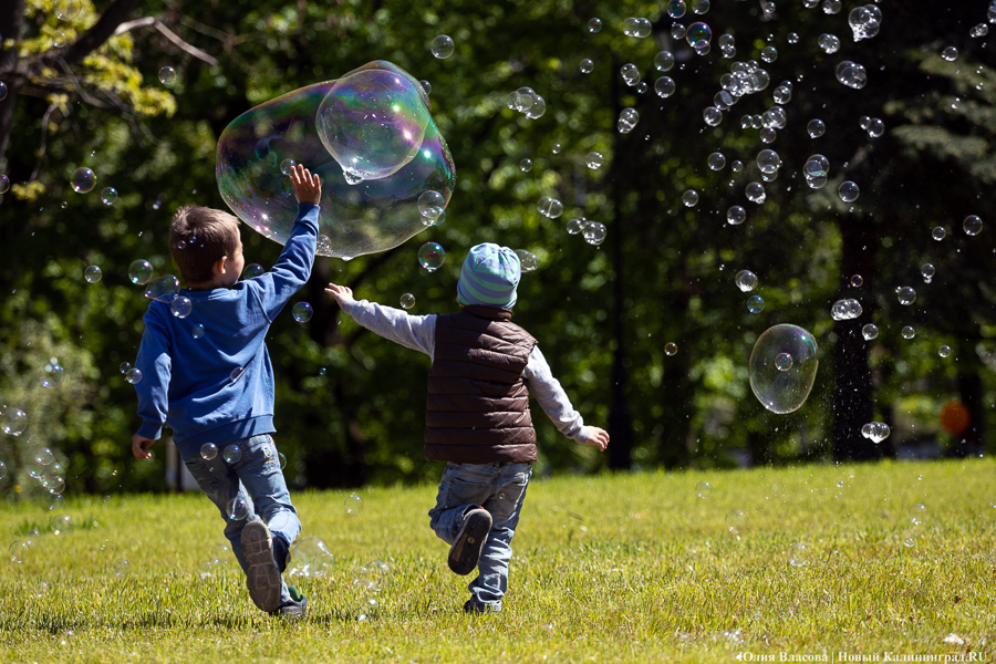 Власти решили компенсировать молодым семьям с детьми часть аренды за жилье