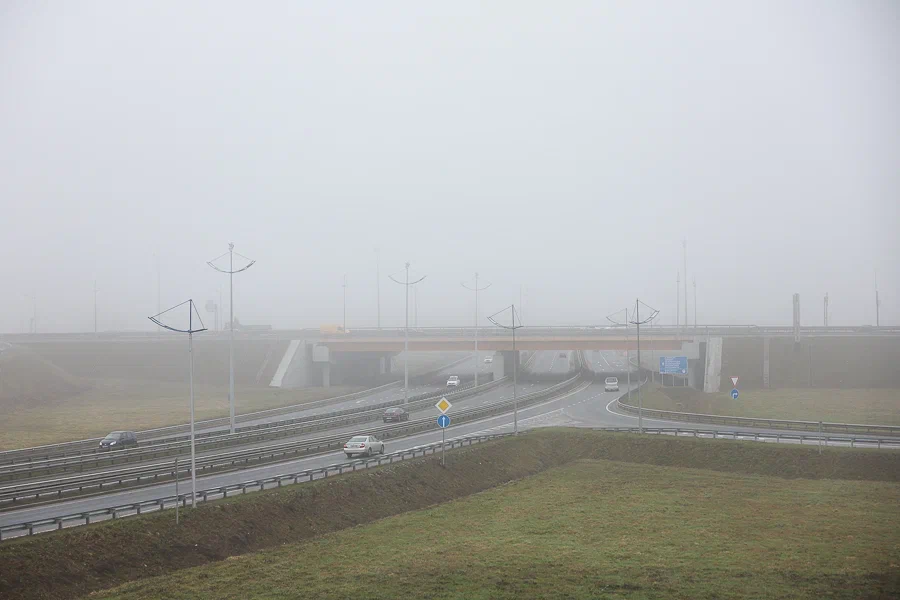 Погода в Калининградской области 7 декабря