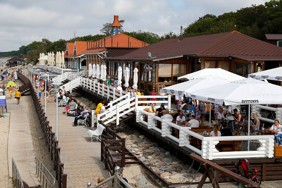 «Кошачья эстафета» и шахматная «заруба»: в Зеленоградске откроют курортный сезон