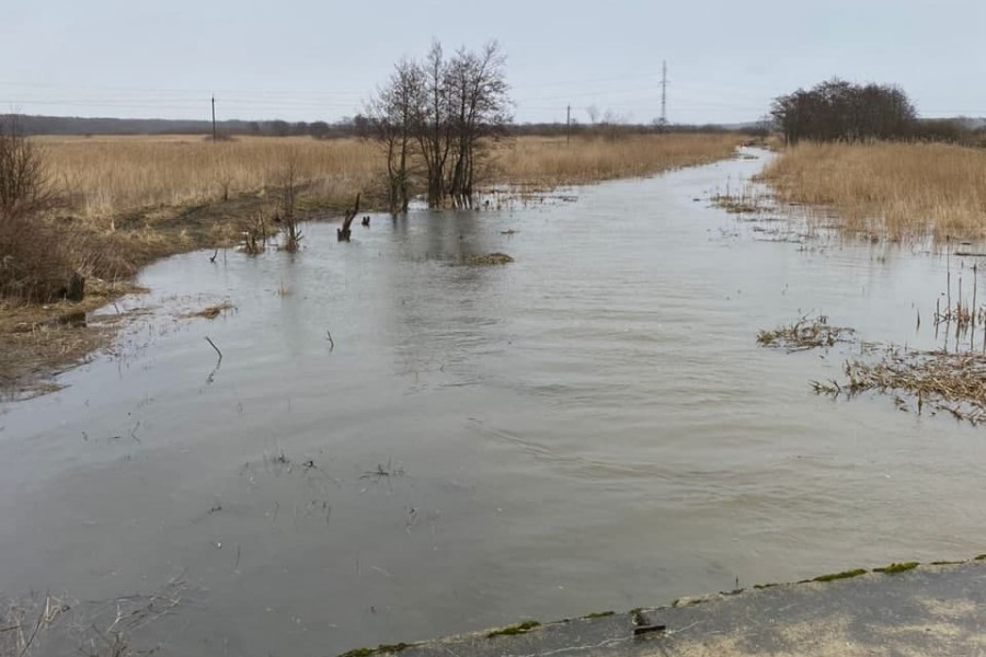 СК выясняет причины смерти мужчины, погибшего на глазах у рыбаков на Нельме