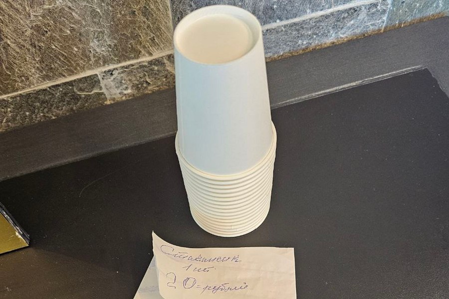 20 рублей: в бювете Светлогорска бесплатную воду наливают в платные стаканы