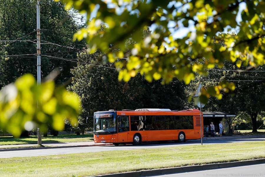 В мэрии объяснили очередную задержку с безналичной оплатой проезда