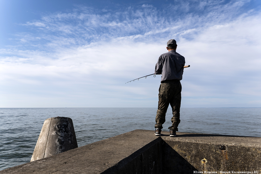 Агентство по рыболовству назвало запрещенные места для рыбалки в период нереста 