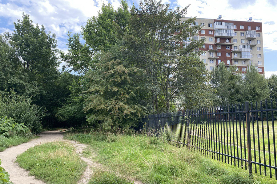 В Калининграде нашли подрядчика для обустройства «народной тропы» к ул. Невского (фото)