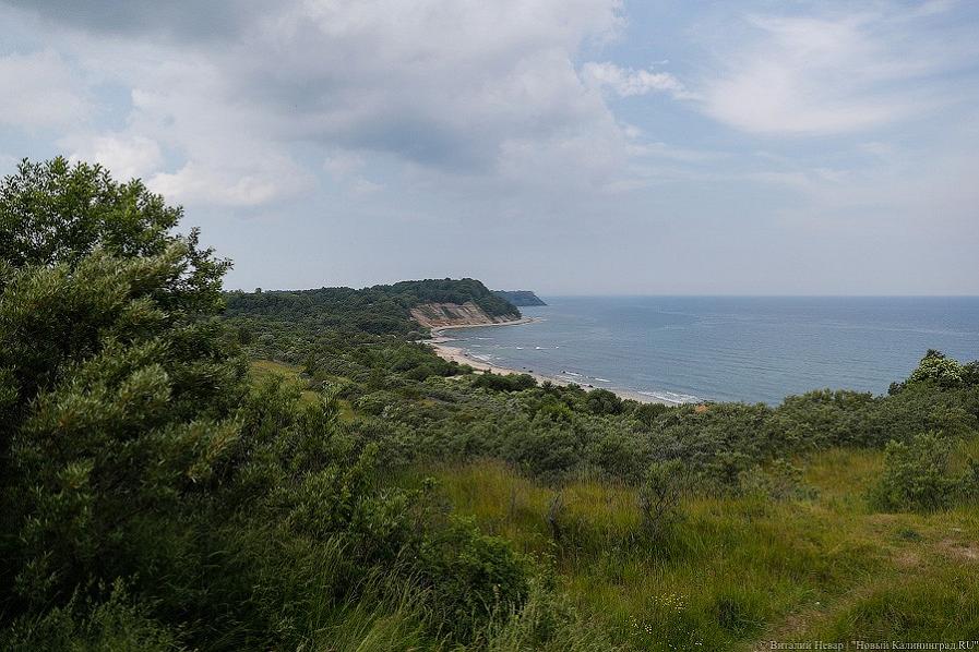 Участники тендера на застройку Филинской бухты обнаружили серьезные ошибки в сметах