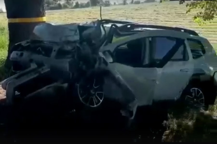 Рано утром в Гусевском округе «Рено» врезался в дерево, водитель погиб (видео)