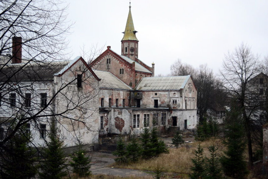 Здание бывшей психбольницы Алленберг выставили на торги (фото)