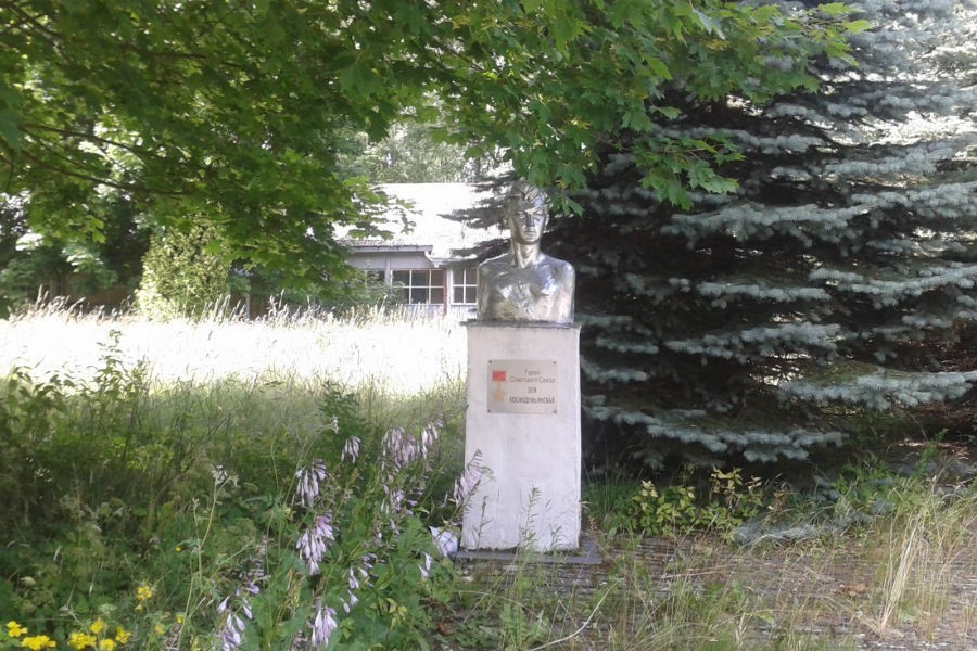 На месте бывших пионерлагерей в Светлогорске планируют построить центр на 500 мест