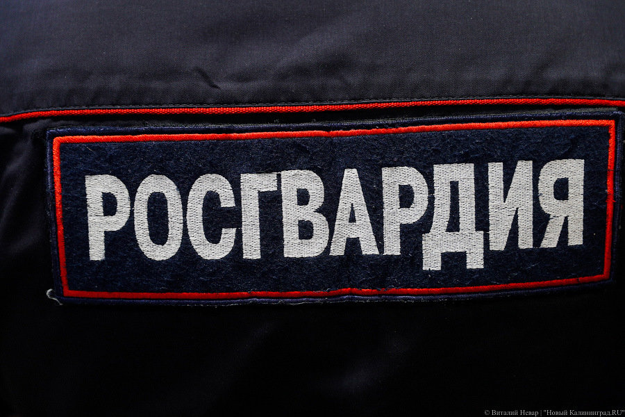 Двое пьяных калининградцев избили охранника «Плазы» и повредили витрины