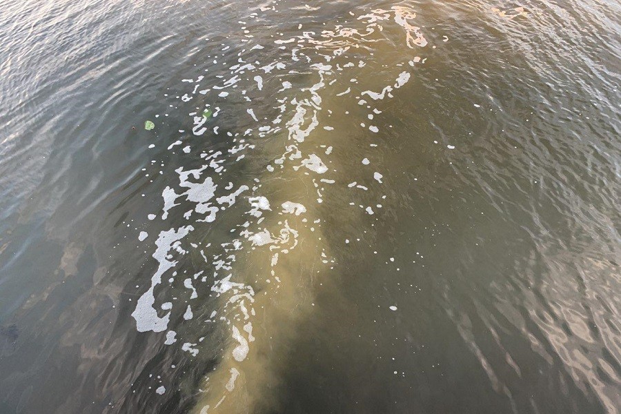 Напротив стадиона «Калининград» в Преголю вновь сливают сточные воды (фото) (видео)