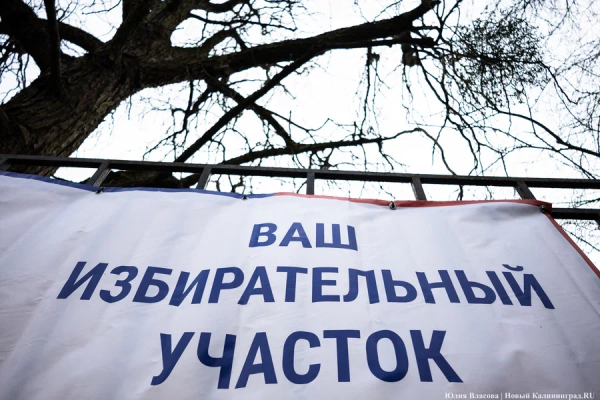 Новости Калининграда: предвыборные хлопоты, таможенный «улов» и вакансии недели
