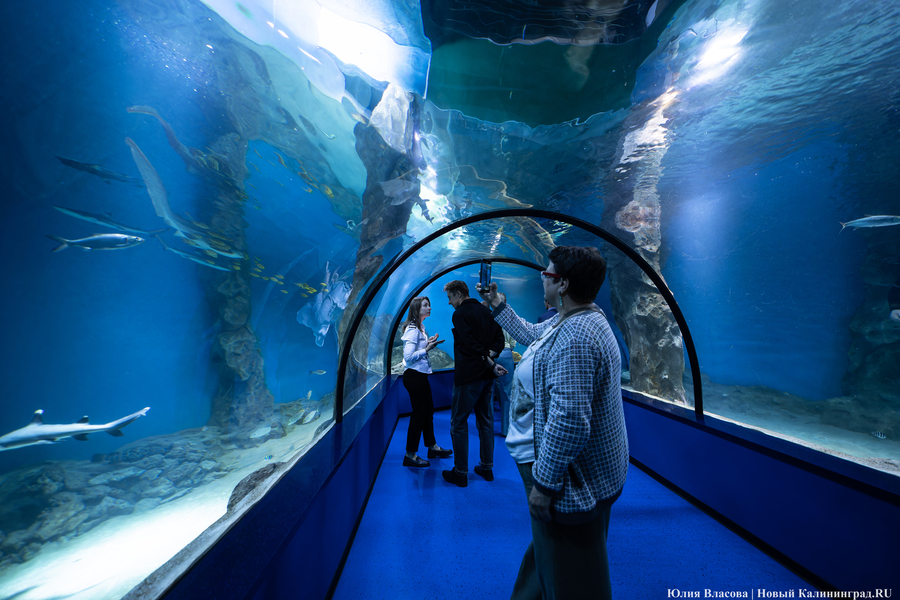 Ермак рассказал, когда индивидуальные туристы смогут попасть в «Планету Океан» (дополнено)