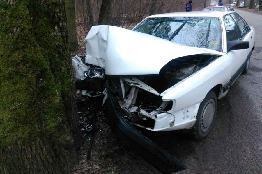 В Ладушкине пожилой водитель, уходя от столкновения, врезался в дерево (фото)