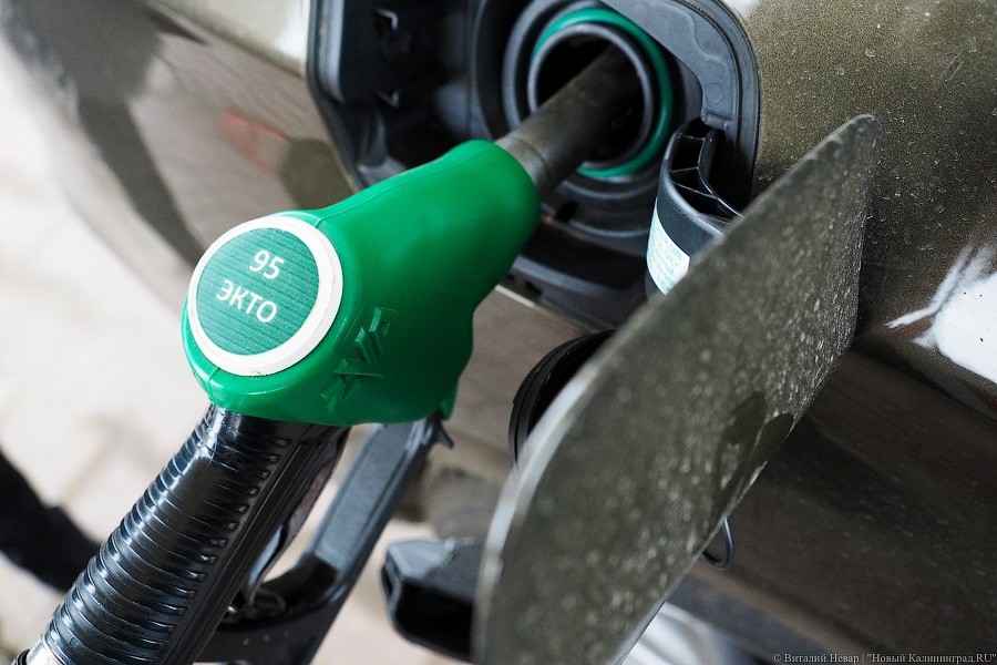 С начала года цены на бензин в России выросли почти на 10%