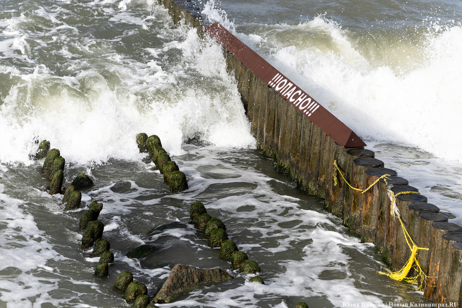 В Калининградской области ожидается усиление ветра до 23 м/с