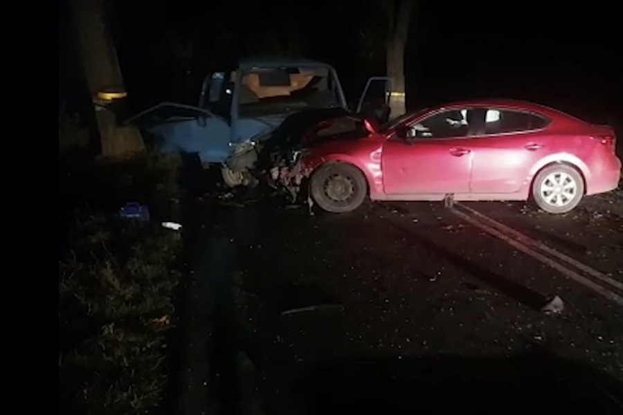 В Зеленоградском районе выбежавшая на дорогу косуля спровоцировала смертельное ДТП (фото)