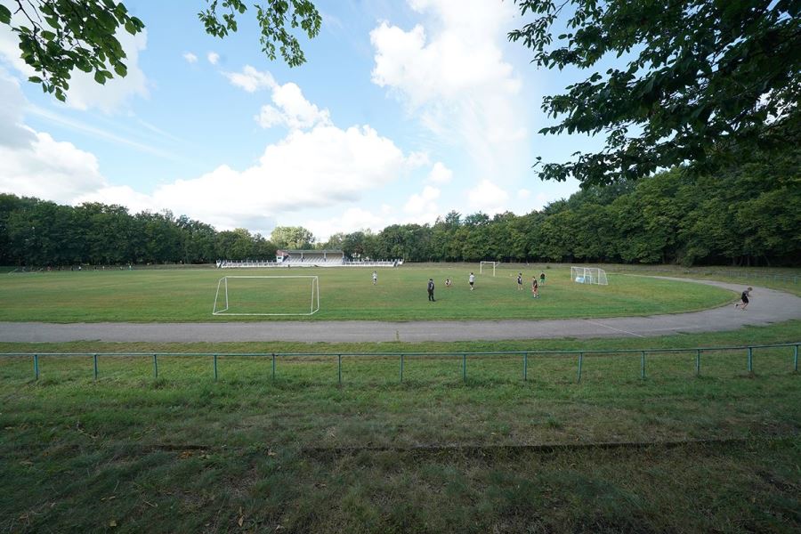 В Советске пытаются скорректировать проект реконструкции стадиона и спасти некоторые деревья