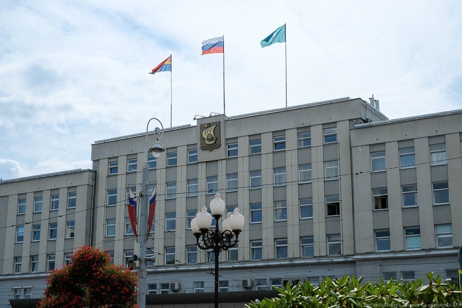 Нарколог и актриса претендуют на звание почетного жителя Калининграда в 2020 году