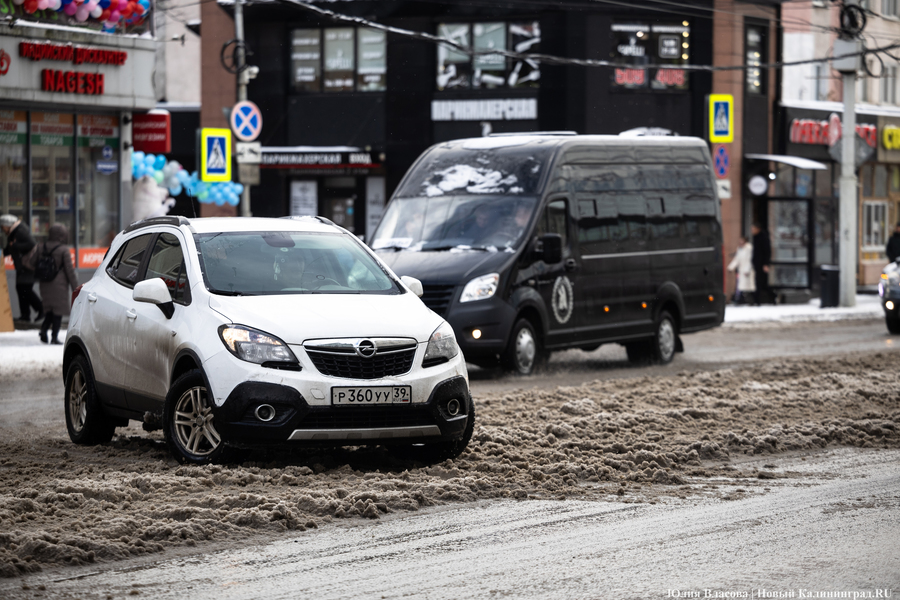 Дятлова попросила отказаться от поездок на авто 15 января из-за гололеда 