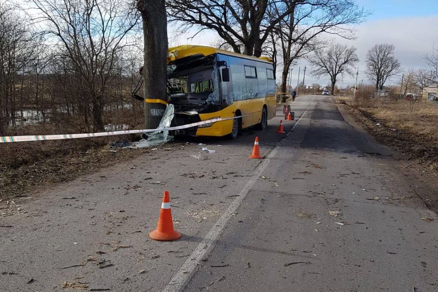 Под Гурьевском рейсовый автобус врезался в дерево (фото)