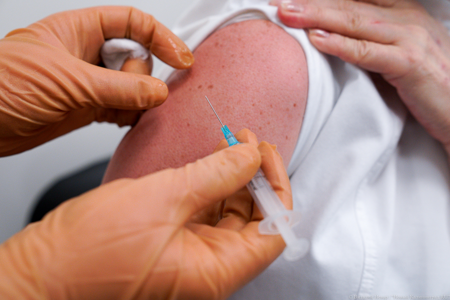 Калининградская область занимает седьмое место в рейтинге регионов по уровню вакцинации