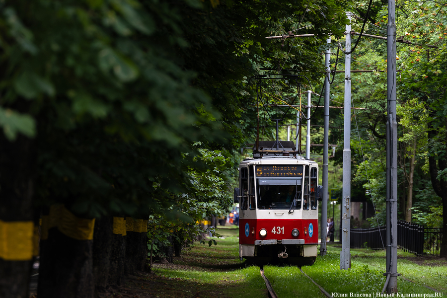 В Калининграде повторно возбудили уголовное дело об уничтожении трамвая 