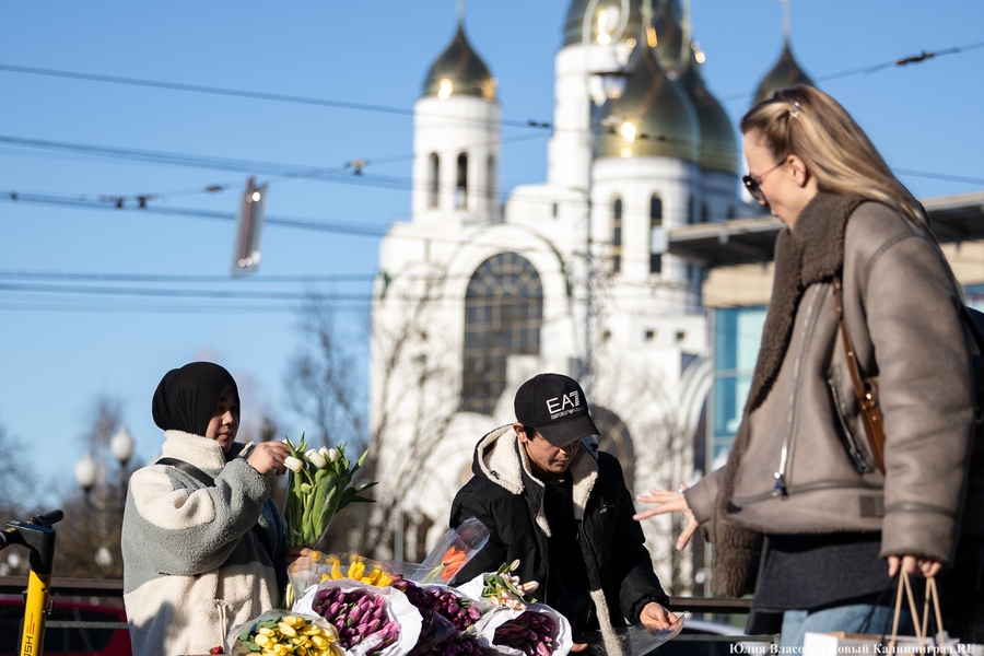 Следуй за кроликом: чем занять себя в пасхальные выходные в Калининграде
