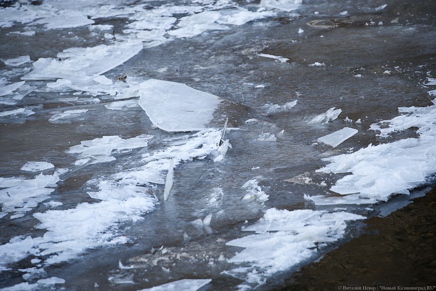 В Куршском заливе оторвалась льдина с семью рыбаками