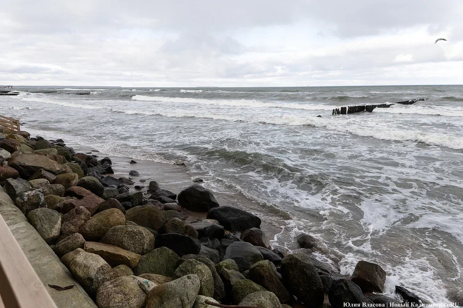 «Небо затянет облачностью»: погода в Калининградской области 1 марта