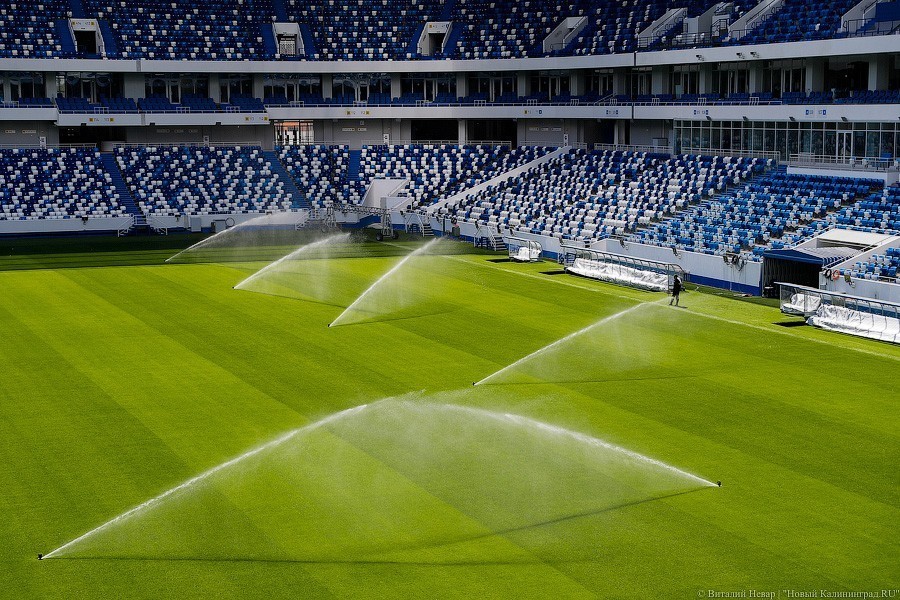 Домашний матч «Балтики» против «Армавира» в ФНЛ пройдет без зрителей