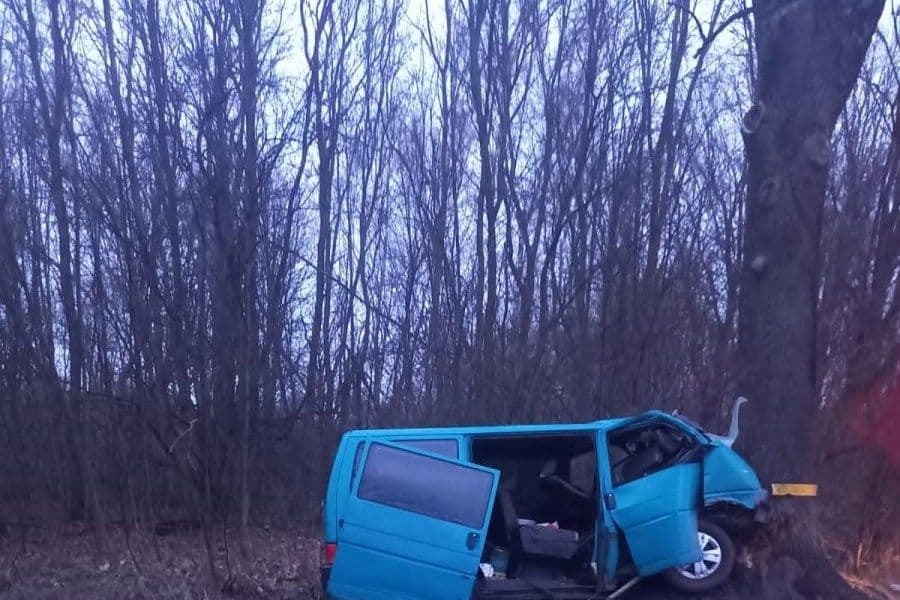 На балтийской трассе превысивший скорость водитель врезался в дерево (фото)
