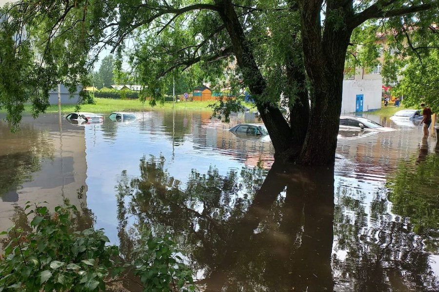 Елена Дятлова назвала условия, при которых в Калининграде может повториться потоп