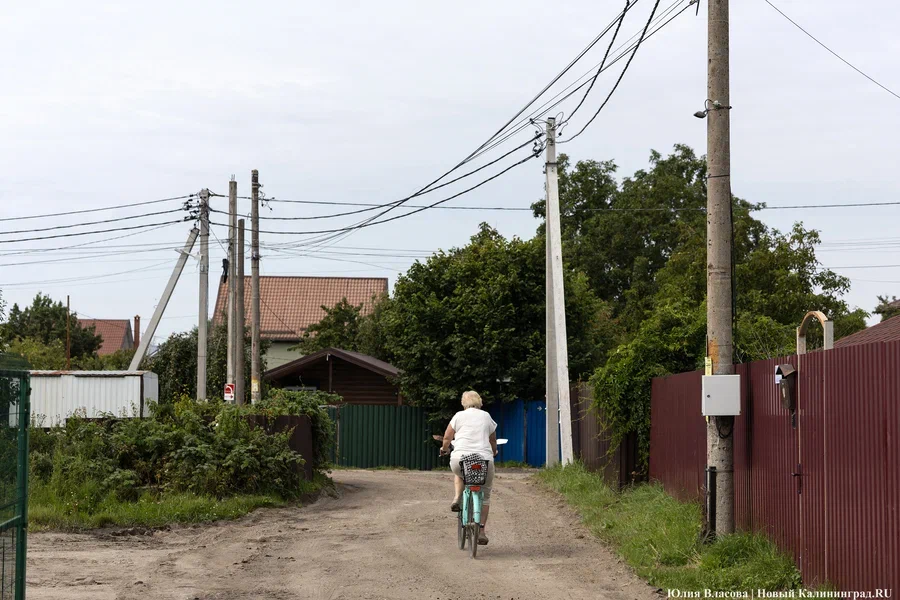 В Росреестре рассказали о планах упростить оформление общего имущества в СНТ