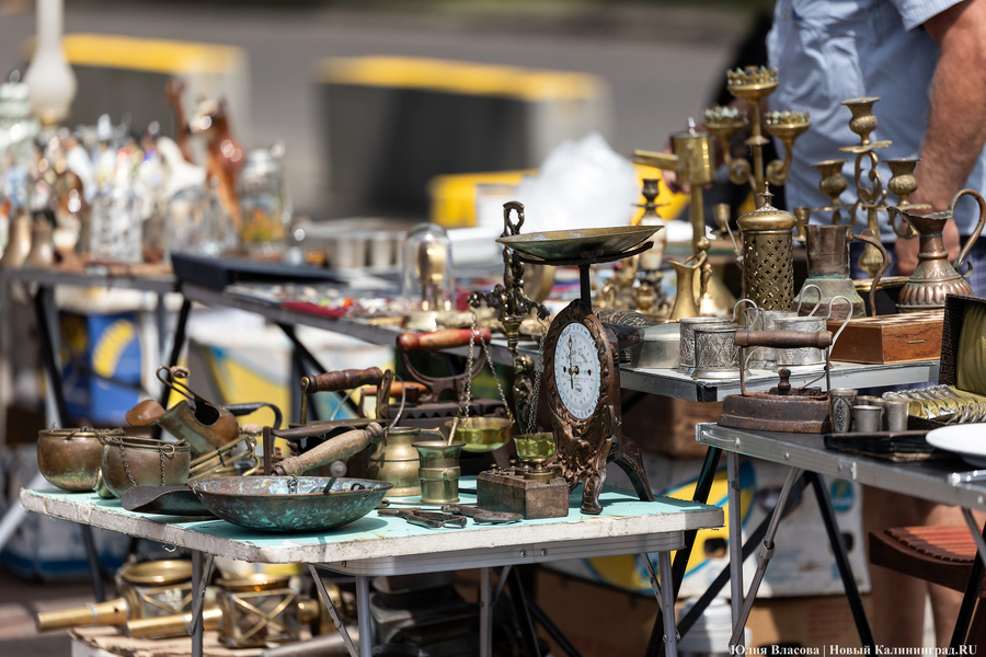 Дятлова сообщила, что не допустит переезда блошиного рынка в Каштановый парк